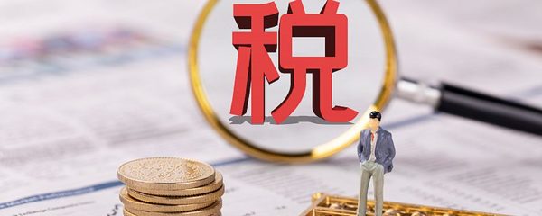 海口個人所得稅繳費指南與流程全解析